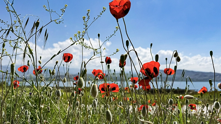 Meteoroloji açıkladı: 16 Haziran 2025 Malatya hava durumu raporu... Bugün hava nasıl olacak?