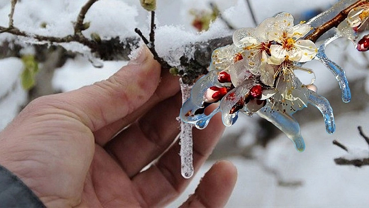 Meteoroloji'den Malatya'ya zirai don ve soğuk hava uyarısı