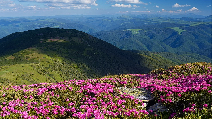 Meteoroloji Malatya'yı Uyardı: Güneşli Havayla Birlikte Tehlike de Geliyor!