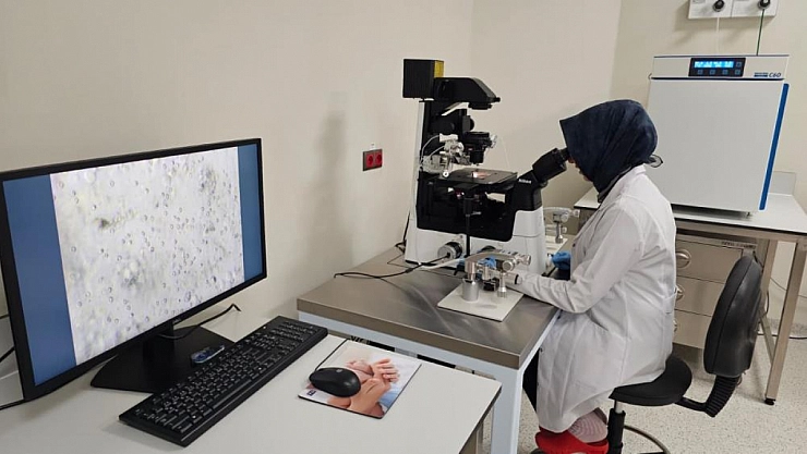 Mikro-TESE yönteminde büyük başarı