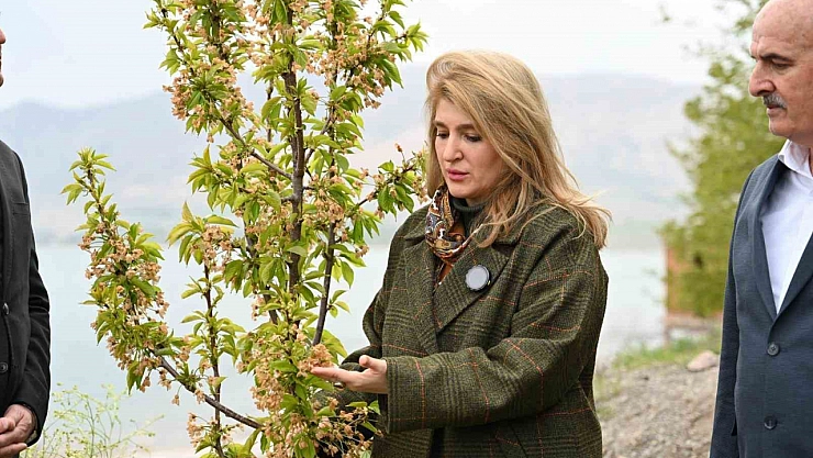 Milletvekili Ölmeztoprak: 'Yaraları hep birlikte saracağız'