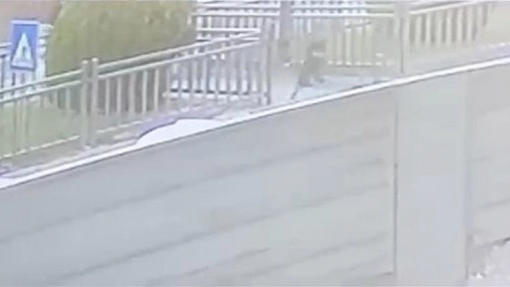 Minik çocuk kıl payı kurtuldu