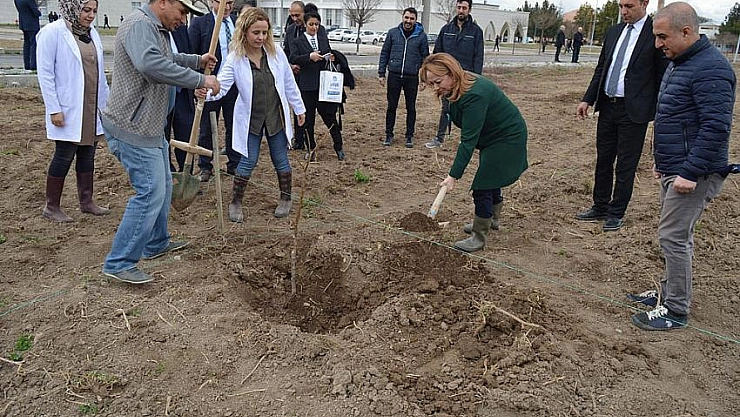 MTÜ örnek kayısı bahçesi kuruyor 