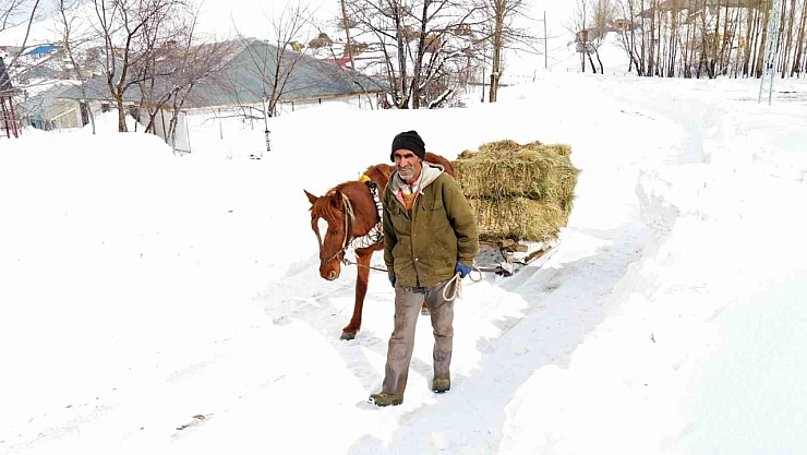 Muş'ta besicilerin imdadına atlı kızaklar yetişti