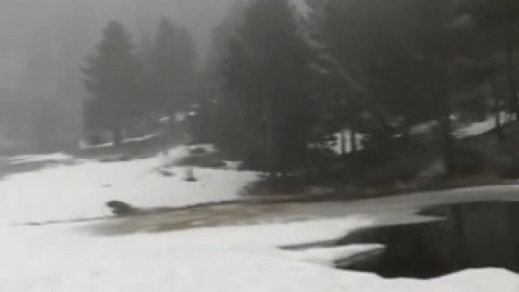 Nisan ayında yağan kar şaşırttı