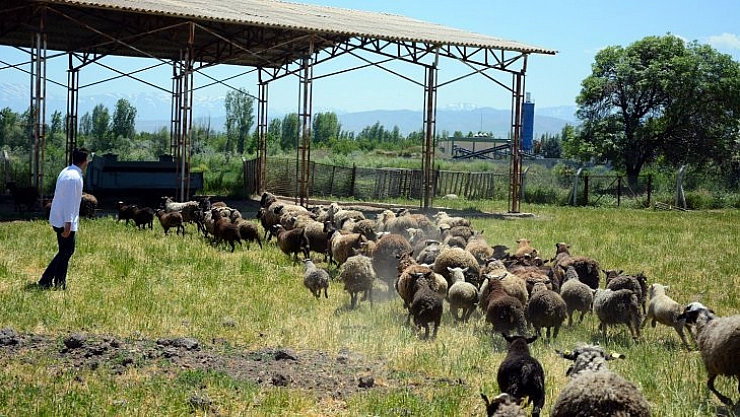 Öğrenip üretiyorlar