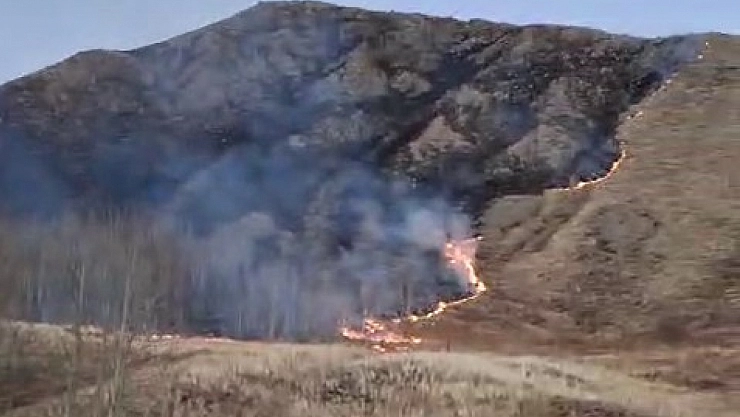 Oltu'da örtü yangını korkuttu