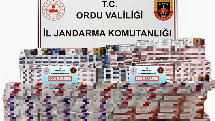 Ordu'da kaçak operasyonu