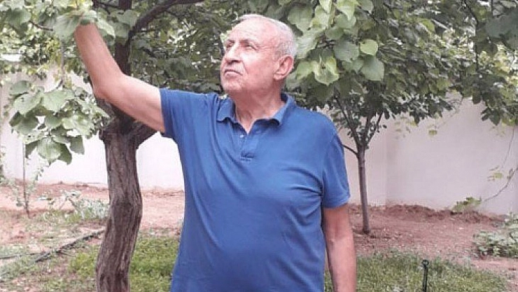 Organik kayısı üreticisi zorda