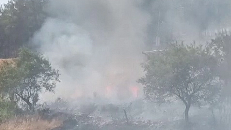 Ormanlık alanda çıkan yangın korkuttu