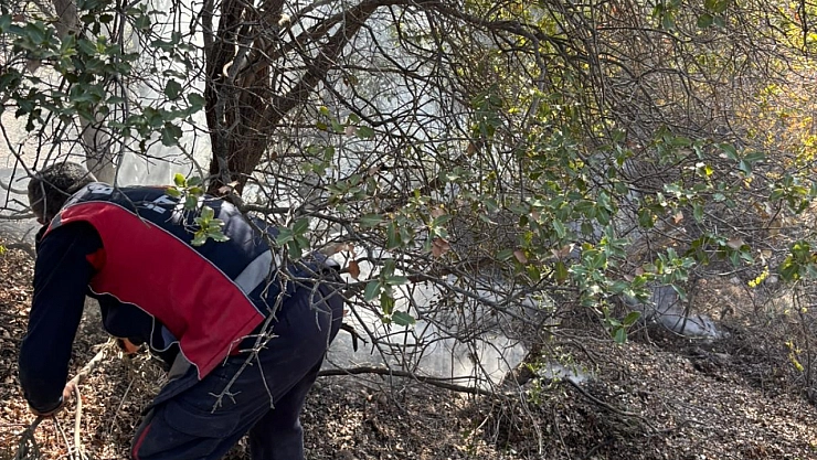 Ormanlık alanda korkutan yangın