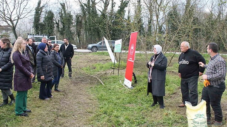 Düzce'ye örnek olacak fındık bahçeleri oluşturuluyor