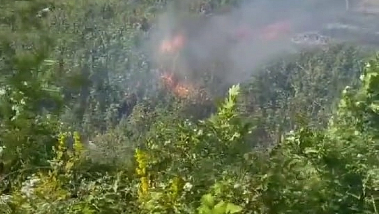 Otluk alanda çıkan yangın, kara yolunu kapladı