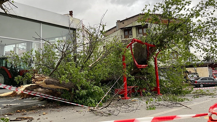 Otobüs durağına ağaç devrildi