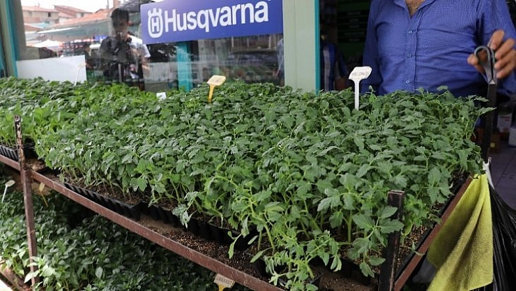 Yüksek fiyatlar vatandaşı sebze üretimine yöneltiyor