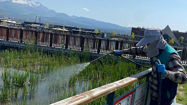 Parklar ve bahçeler ilaçlanıyor