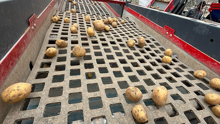 Patatesin toprakla buluşma yolculuğu başladı