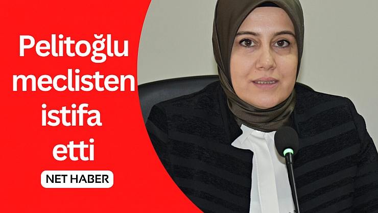 Pelitoğlu meclisten istifa etti