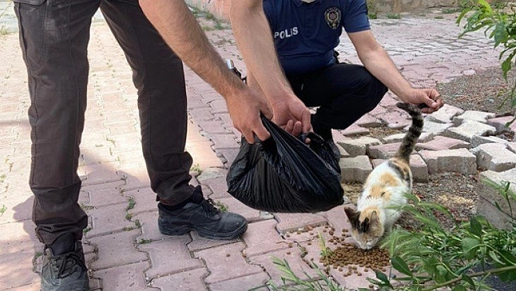 Polis sokak hayvanları için yem bıraktı