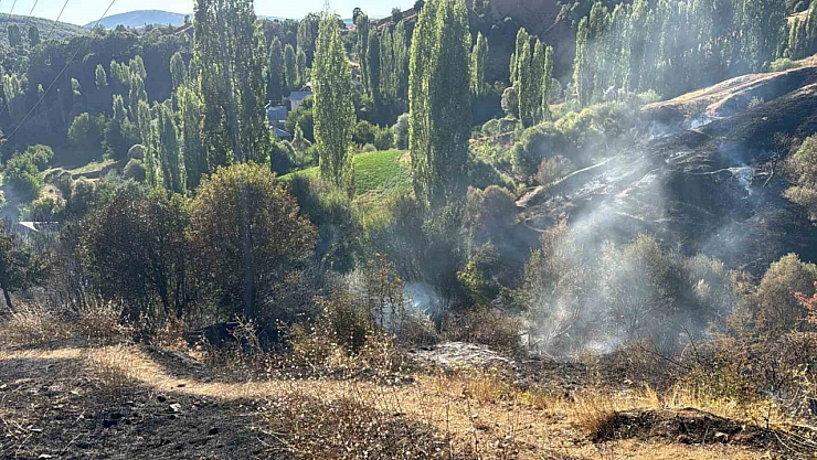 Pütürge'de bahçe yangını korkuttu