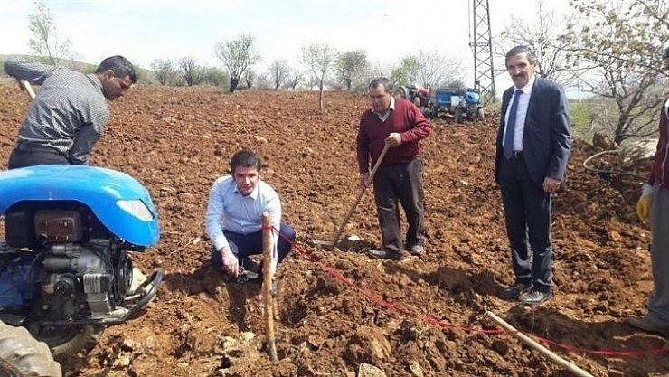 Yüzde 50 hibeli asma
