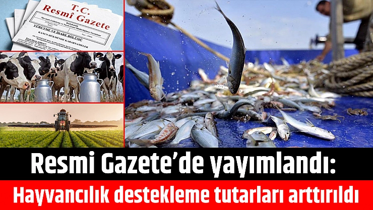 Resmi Gazete'de yayımlandı: Hayvancılık destekleme tutarları arttırıldı…