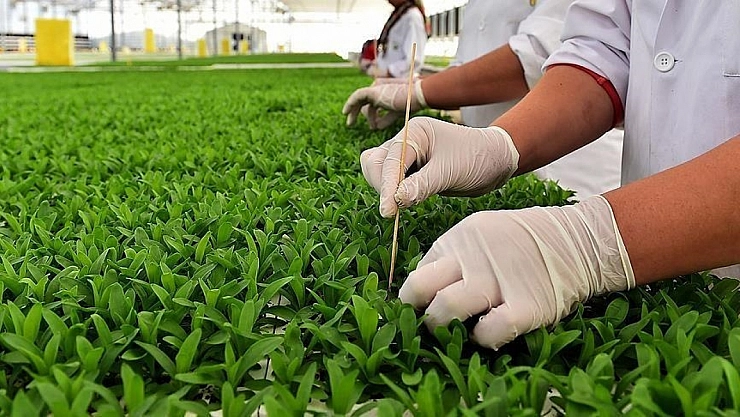 Resmi Gazete'de yayımlandı: Üretim Yapmayan Destek Alamayacak
