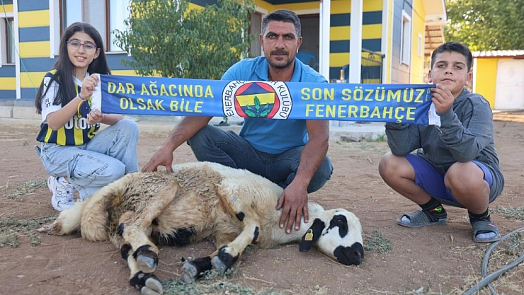 Sadettin Saran için adak kestiler
