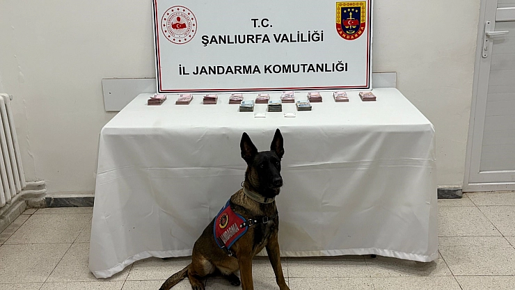 Uyuşturucuya geçit yok: 210 bin TL ve kokain ele geçirildi