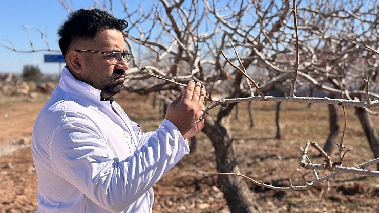 Şanlıurfa'da çiftçilere don olayı uyarısı