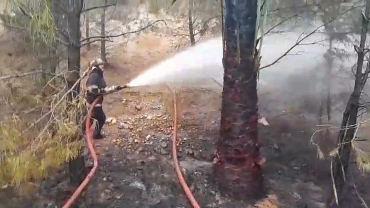 Ormanlık alanda çıkan yangın söndürüldü
