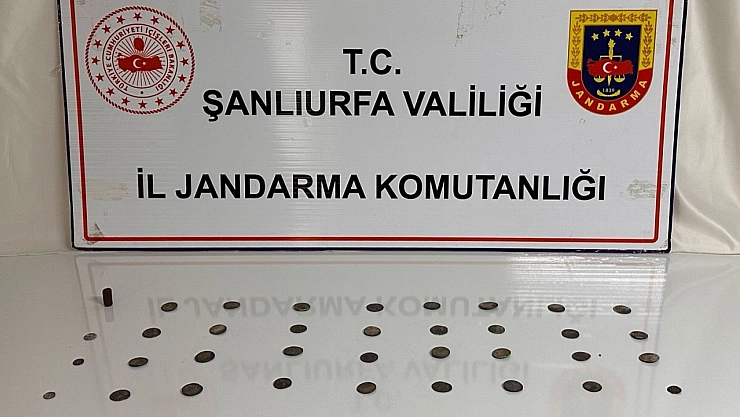 Şanlıurfa'da tarihi eser operasyonu: 2 gözaltı