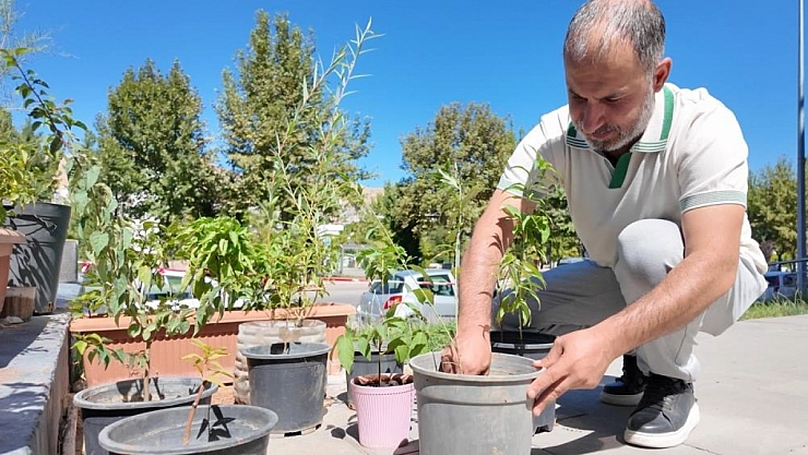 Şehirde köy hayatı kurdu