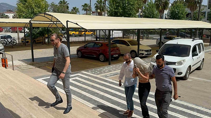 Şehit ailesinin zeytinyağını çaldılar