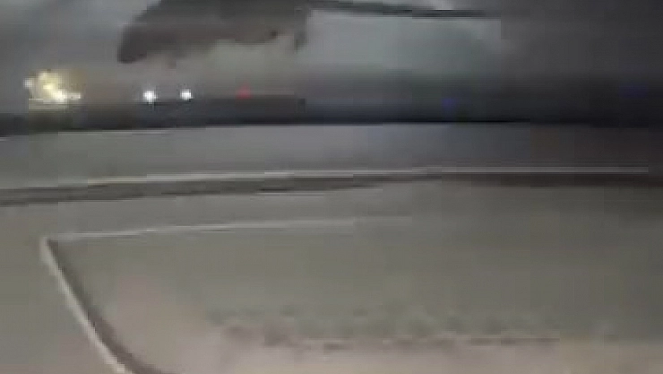 Seyir halindeki otomobilde fare panik yarattı