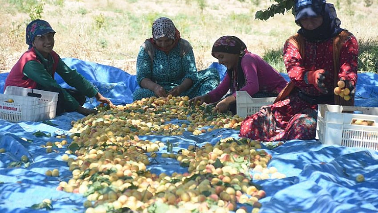 Sıcak havada çok zor