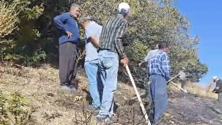 Sincik ilçesinde korkutan orman yangını