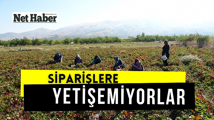 Siparişlere yetişemiyorlar
