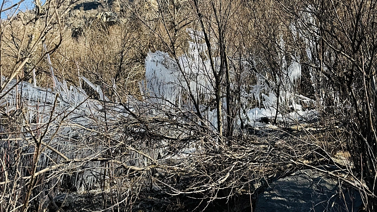Şırnak'ta ağaçlarda buz sarkıtları oluştu