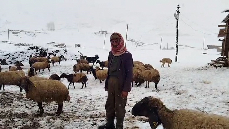 Şırnak'ta nisanda lapa lapa kar yağdı, ahırlar zarar gördü