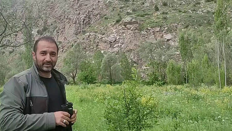 Sivas'ta ilginç olay: Ayıya 'canım' diye seslendi