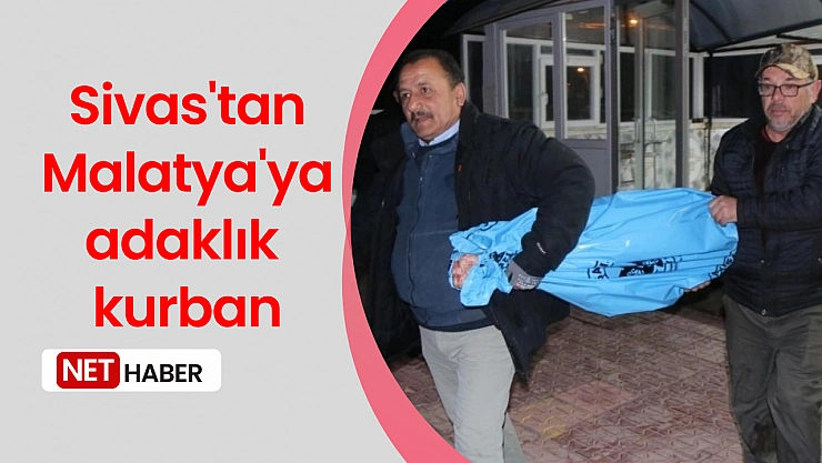 Sivas'tan Malatya'ya adaklık kurban