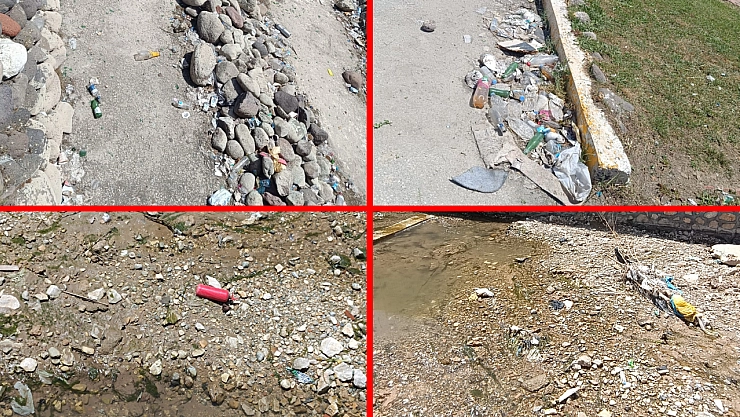 Sivrisinek alarmı: Malatya'da sıcaklıklar başladı, çile katlandı!