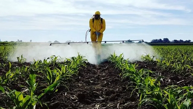 Sofralar artık daha tehlikeli: Her 3 üründen biri pestisit içeriyor! Peki, en fazla hangi ürünlerde bulunuyor?