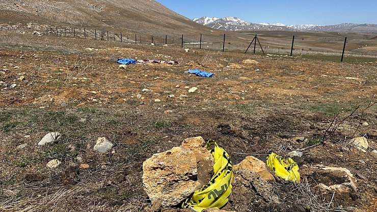 Sokak köpekleri yine can aldı