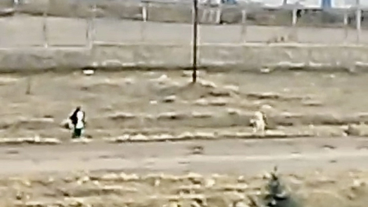 Malatya'da Köpek Saldırısına Uğrayan Çocuk Çığlık Atarak Kurtuldu