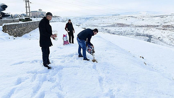 Doğaya yem bırakıldı
