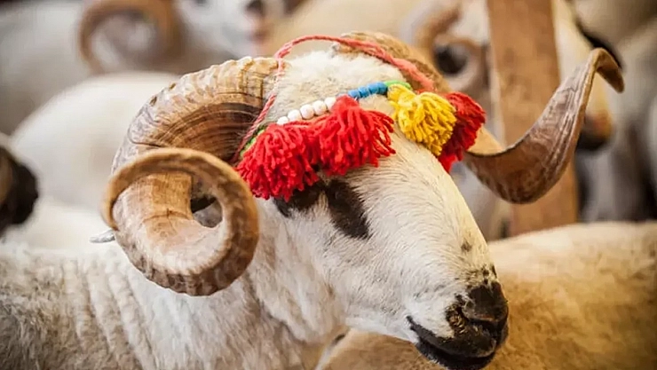 2025 'Kurban Bedelleri' açıklandı…!