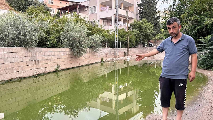 Su birikintisi yeşil renge büründü