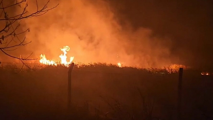 Sülüklü Göl'de kamışlar alev aldı